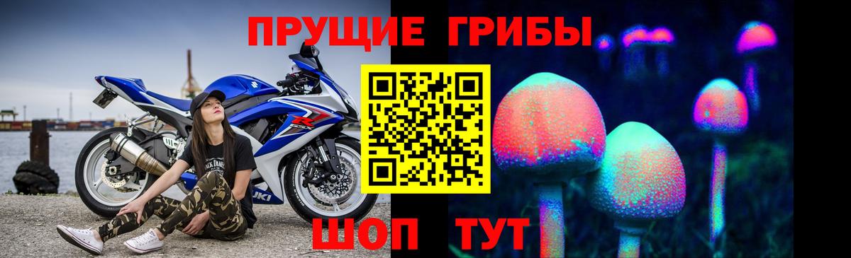 Псилоцибиновые грибы мухоморы Курчалой